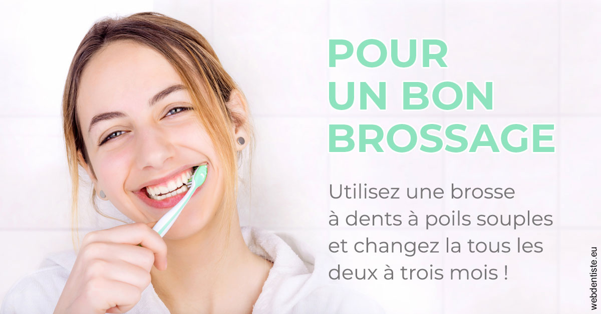 https://dr-carine-ben-younes-uzan.chirurgiens-dentistes.fr/Pour un bon brossage 2