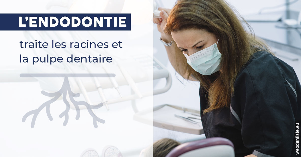 https://dr-carine-ben-younes-uzan.chirurgiens-dentistes.fr/L'endodontie 1
