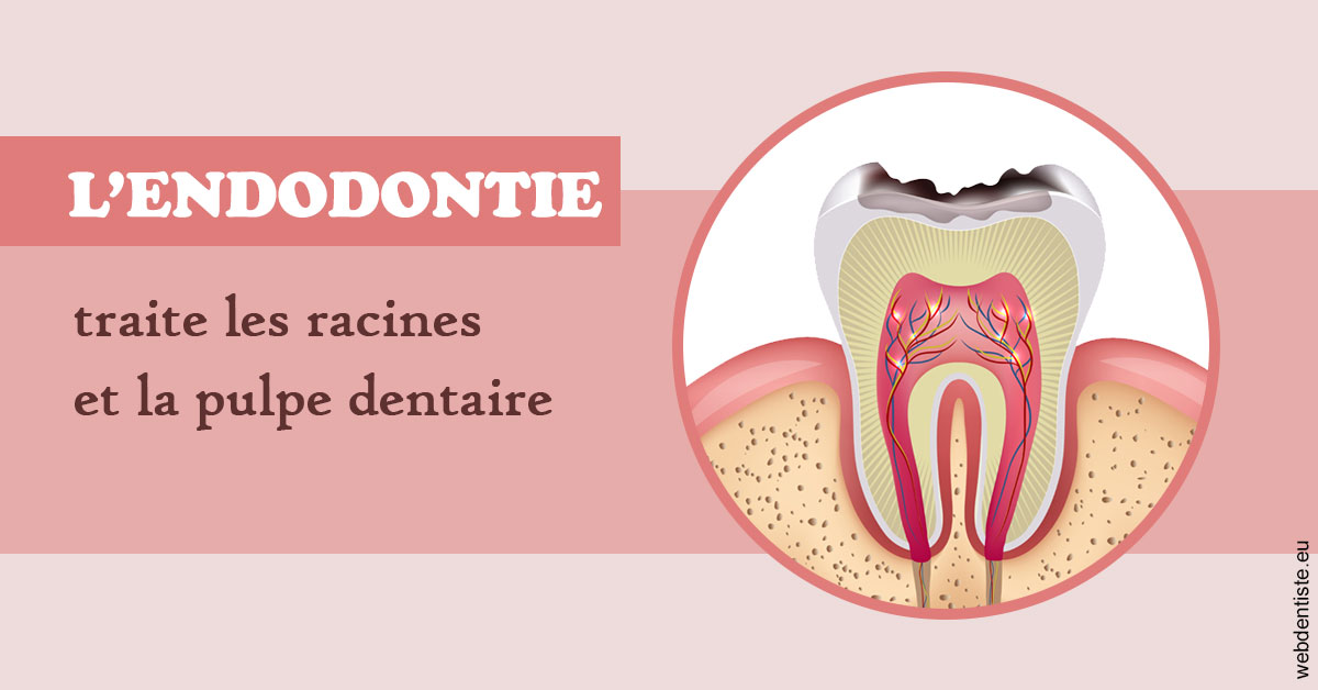 https://dr-carine-ben-younes-uzan.chirurgiens-dentistes.fr/L'endodontie 2