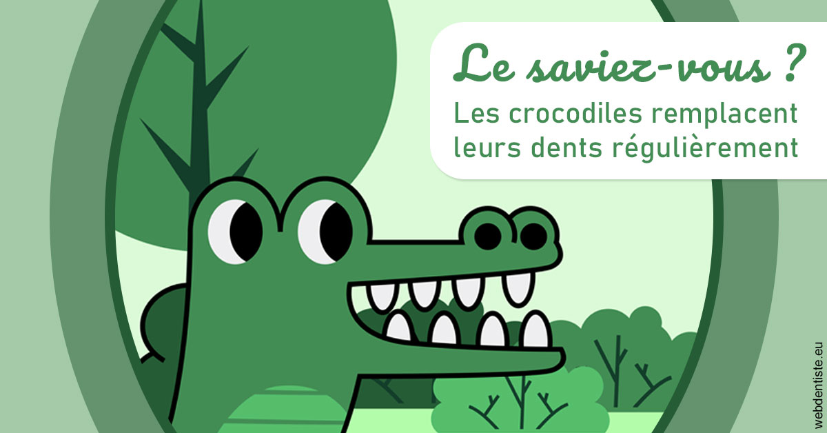 https://dr-carine-ben-younes-uzan.chirurgiens-dentistes.fr/Crocodiles 2