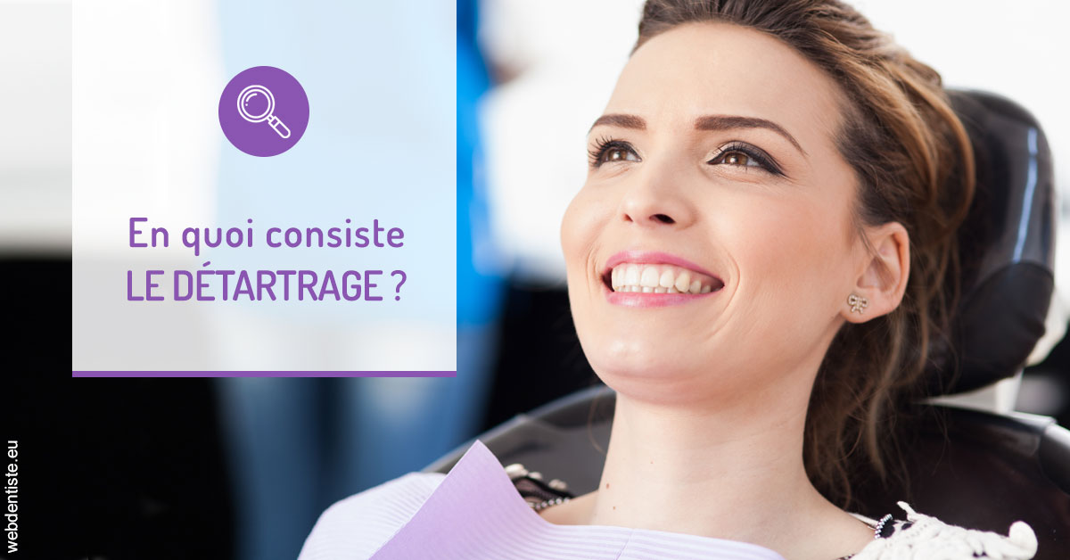 https://dr-carine-ben-younes-uzan.chirurgiens-dentistes.fr/En quoi consiste le détartrage 2