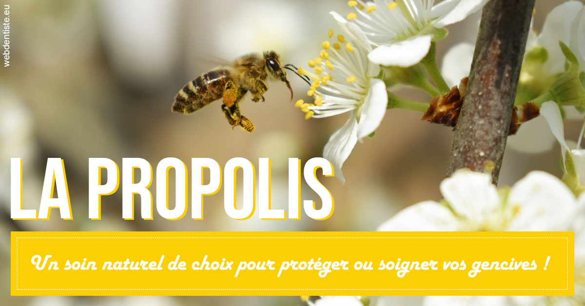 https://dr-carine-ben-younes-uzan.chirurgiens-dentistes.fr/La PROPOLIS 2